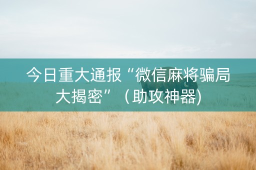 今日重大通报“微信麻将骗局大揭密”（助攻神器)