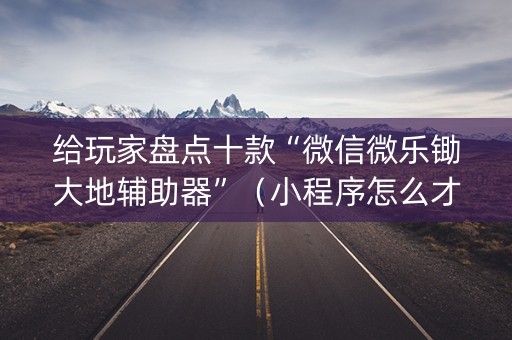 给玩家盘点十款“微信微乐锄大地辅助器”（小程序怎么才会赢)