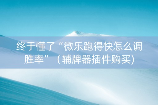 终于懂了“微乐跑得快怎么调胜率”（辅牌器插件购买)
