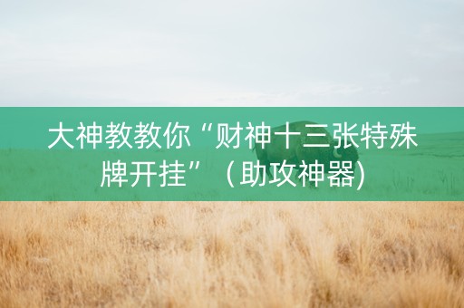 大神教教你“财神十三张特殊牌开挂”（助攻神器)