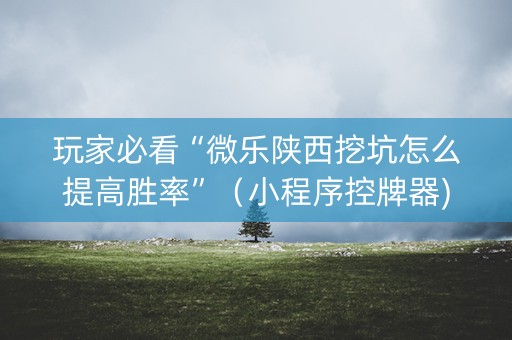 玩家必看“微乐陕西挖坑怎么提高胜率”（小程序控牌器)