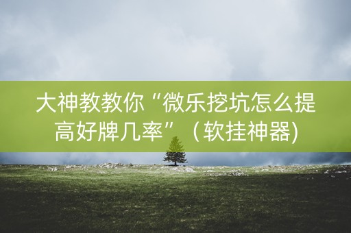 大神教教你“微乐挖坑怎么提高好牌几率”（软挂神器)