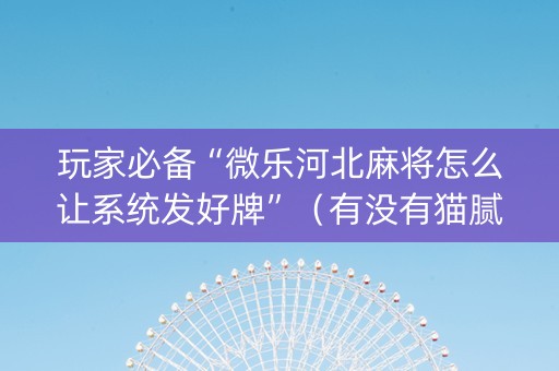 玩家必备“微乐河北麻将怎么让系统发好牌”（有没有猫腻)