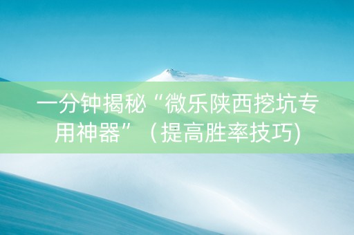 一分钟揭秘“微乐陕西挖坑专用神器”（提高胜率技巧)