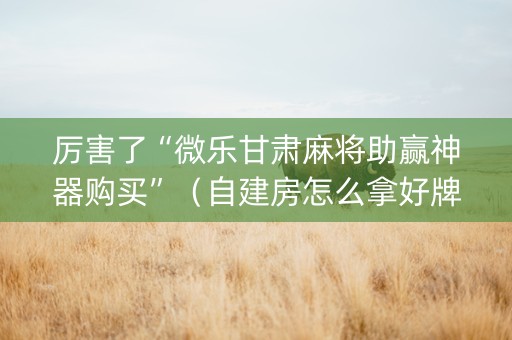 厉害了“微乐甘肃麻将助赢神器购买”（自建房怎么拿好牌)