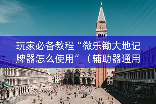 玩家必备教程“微乐锄大地记牌器怎么使用”（辅助器通用版)