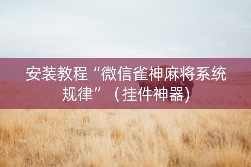 安装教程“微信雀神麻将系统规律”（挂件神器)