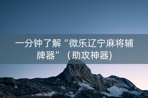 一分钟了解“微乐辽宁麻将辅牌器”（助攻神器)