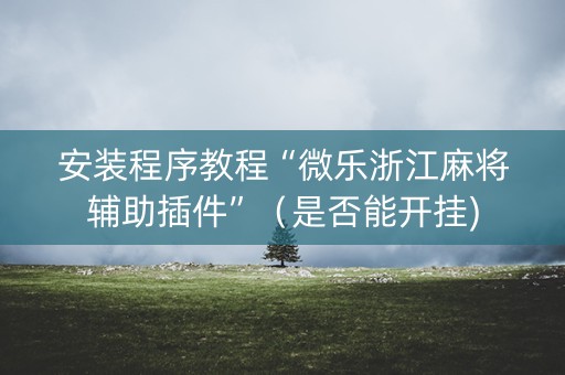 安装程序教程“微乐浙江麻将辅助插件”（是否能开挂)