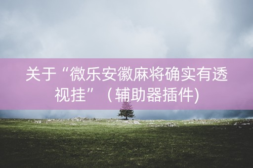关于“微乐安徽麻将确实有透视挂”（辅助器插件)