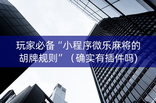 玩家必备“小程序微乐麻将的胡牌规则”（确实有插件吗)