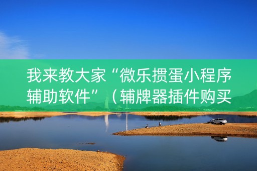 我来教大家“微乐掼蛋小程序辅助软件”（辅牌器插件购买)