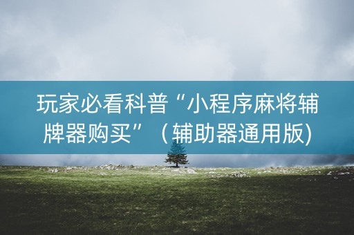 玩家必看科普“小程序麻将辅牌器购买”（辅助器通用版)