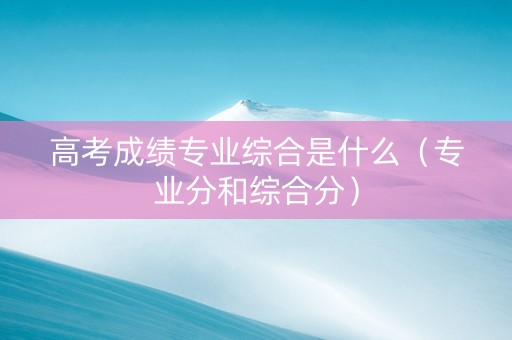 高考成绩专业综合是什么（专业分和综合分）