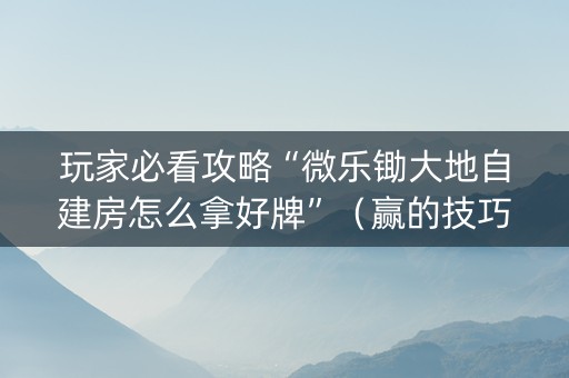 玩家必看攻略“微乐锄大地自建房怎么拿好牌”（赢的技巧规律)
