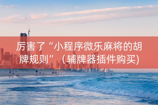 厉害了“小程序微乐麻将的胡牌规则”（辅牌器插件购买)