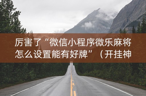 厉害了“微信小程序微乐麻将怎么设置能有好牌”（开挂神器下载)