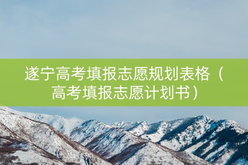 遂宁高考填报志愿规划表格（高考填报志愿计划书）