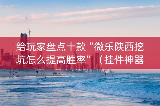 给玩家盘点十款“微乐陕西挖坑怎么提高胜率”（挂件神器)