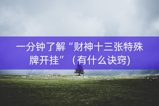 一分钟了解“财神十三张特殊牌开挂”（有什么诀窍)