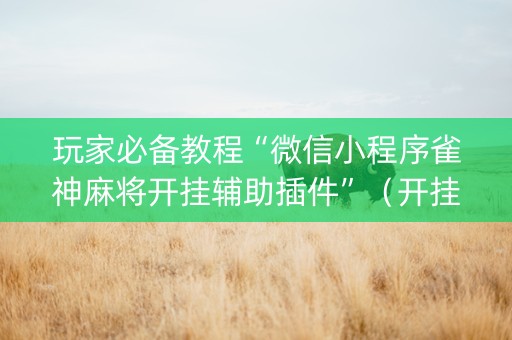 玩家必备教程“微信小程序雀神麻将开挂辅助插件”（开挂辅助器脚本)