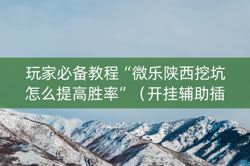 玩家必备教程“微乐陕西挖坑怎么提高胜率”（开挂辅助插件)