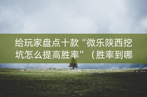 给玩家盘点十款“微乐陕西挖坑怎么提高胜率”（胜率到哪调)
