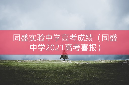 同盛实验中学高考成绩（同盛中学2021高考喜报）