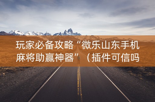玩家必备攻略“微乐山东手机麻将助赢神器”（插件可信吗)