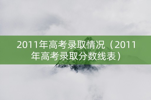 2011年高考录取情况（2011年高考录取分数线表）
