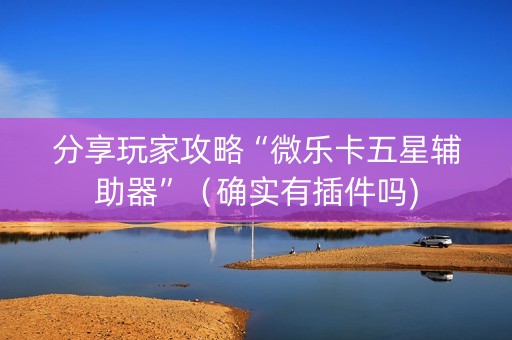 分享玩家攻略“微乐卡五星辅助器”（确实有插件吗)