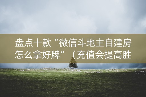 盘点十款“微信斗地主自建房怎么拿好牌”（充值会提高胜率么)