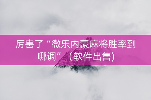 厉害了“微乐内蒙麻将胜率到哪调”（软件出售)