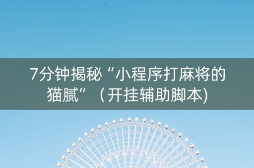 7分钟揭秘“小程序打麻将的猫腻”（开挂辅助脚本)