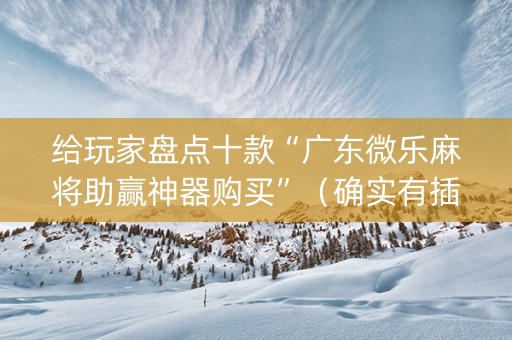 给玩家盘点十款“广东微乐麻将助赢神器购买”（确实有插件吗)