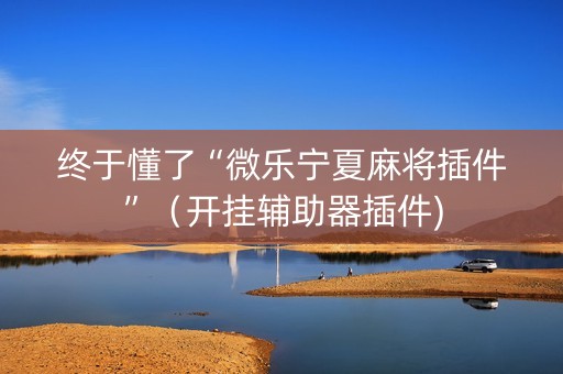终于懂了“微乐宁夏麻将插件”（开挂辅助器插件)