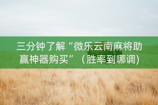 三分钟了解“微乐云南麻将助赢神器购买”（胜率到哪调)