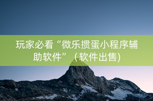 玩家必看“微乐掼蛋小程序辅助软件”（软件出售)
