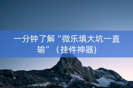 一分钟了解“微乐填大坑一直输”（挂件神器)
