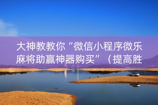大神教教你“微信小程序微乐麻将助赢神器购买”（提高胜率软件)