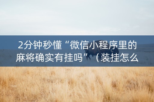 2分钟秒懂“微信小程序里的麻将确实有挂吗”（装挂怎么安装)