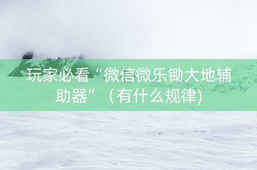 玩家必看“微信微乐锄大地辅助器”（有什么规律)