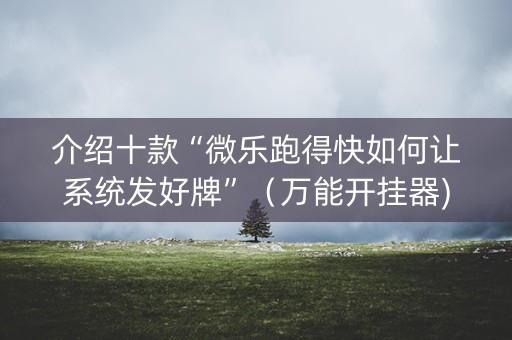 介绍十款“微乐跑得快如何让系统发好牌”（万能开挂器)