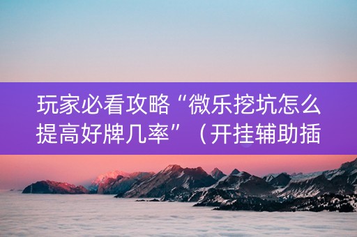 玩家必看攻略“微乐挖坑怎么提高好牌几率”（开挂辅助插件)