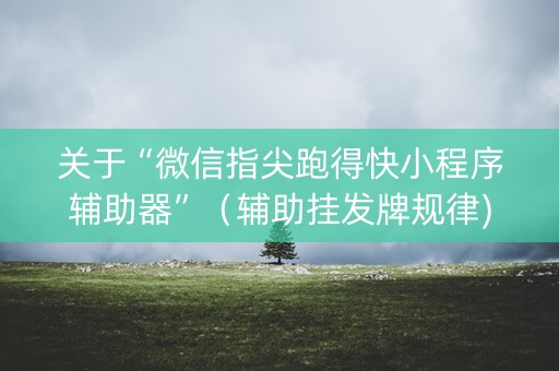 关于“微信指尖跑得快小程序辅助器”（辅助挂发牌规律)
