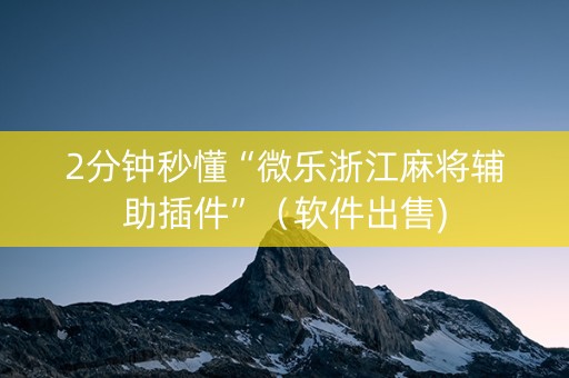 2分钟秒懂“微乐浙江麻将辅助插件”（软件出售)