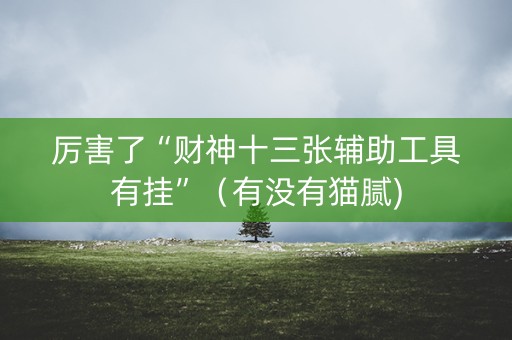 厉害了“财神十三张辅助工具有挂”（有没有猫腻)