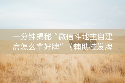 一分钟揭秘“微信斗地主自建房怎么拿好牌”（辅助挂发牌规律)