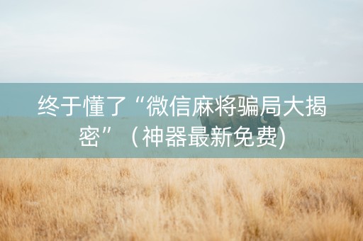 终于懂了“微信麻将骗局大揭密”（神器最新免费)