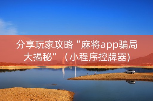 分享玩家攻略“麻将app骗局大揭秘”（小程序控牌器)